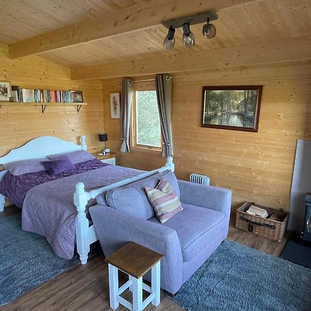 Cosy Cabin In Annie'S Meadow West Meon エクステリア 写真